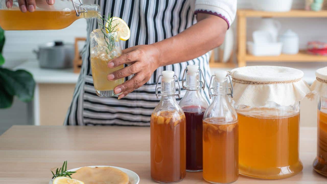 kombucha