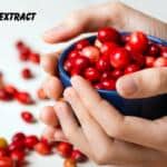 Cranberry Extract