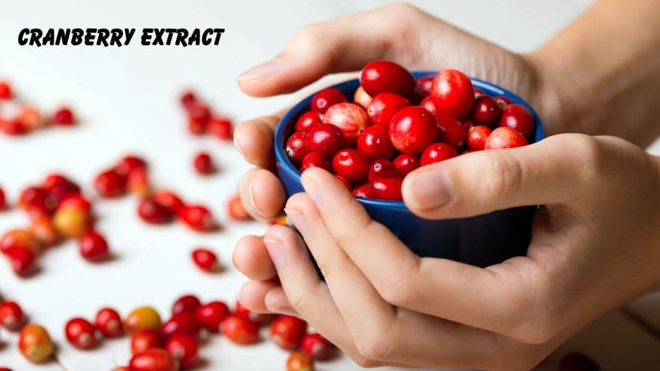 Cranberry Extract